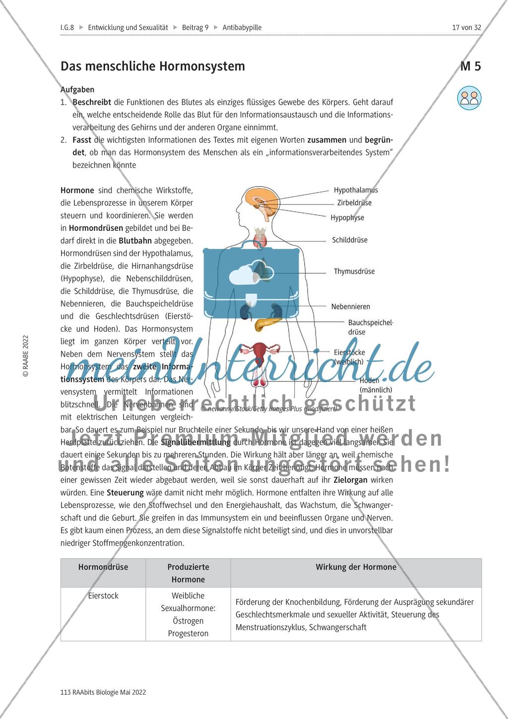 Die Antibabypille - M3-M5 Preview 4