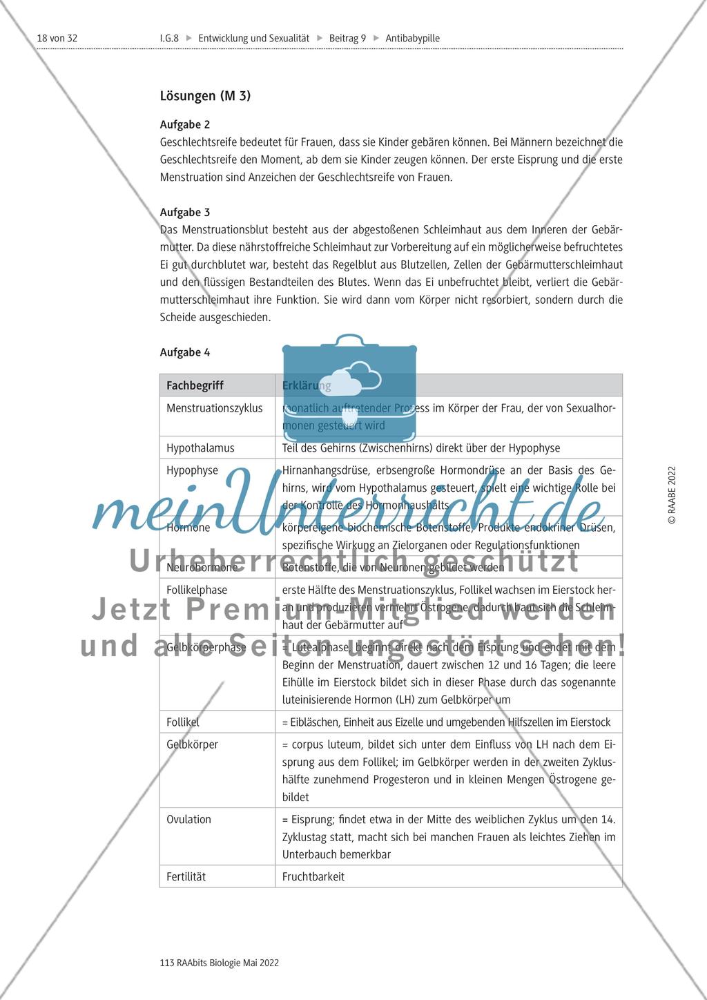 Die Antibabypille - M3-M5 Preview 5