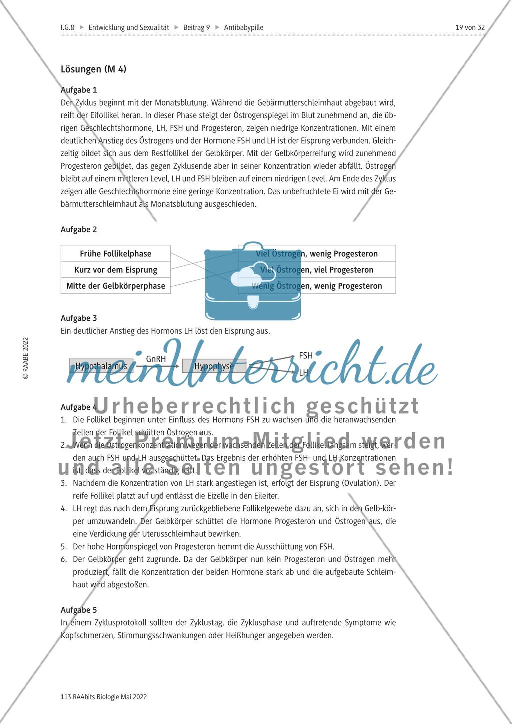 Die Antibabypille - M3-M5 Preview 6