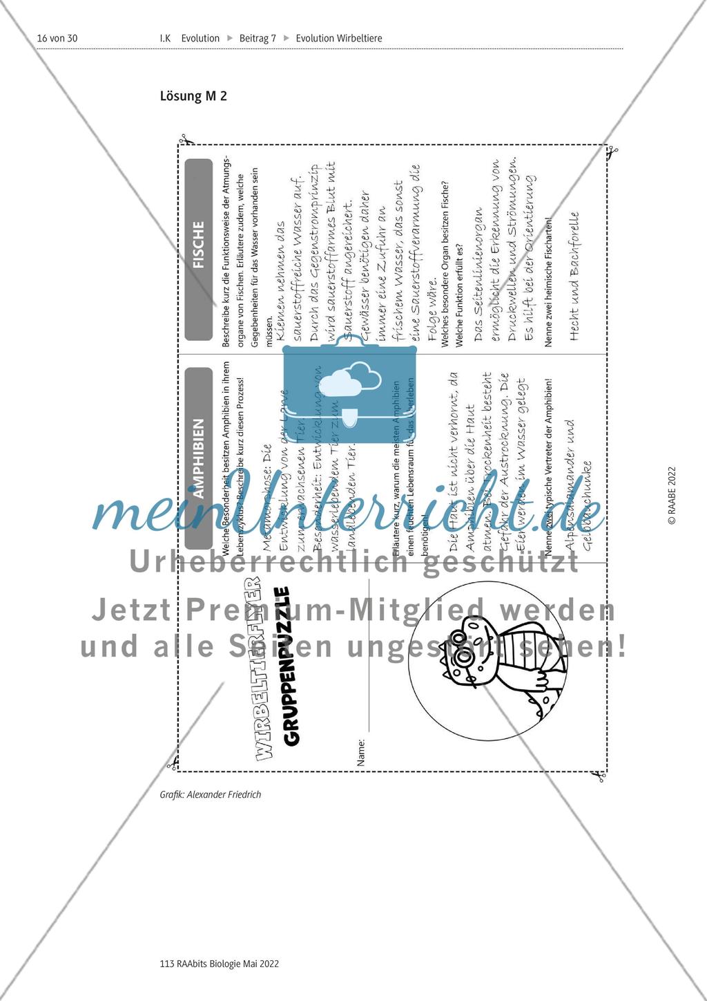 Evolutionsmechanismen - M1-M2 Preview 11