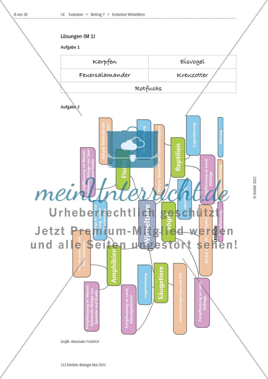 Evolutionsmechanismen - M1-M2 Preview 3