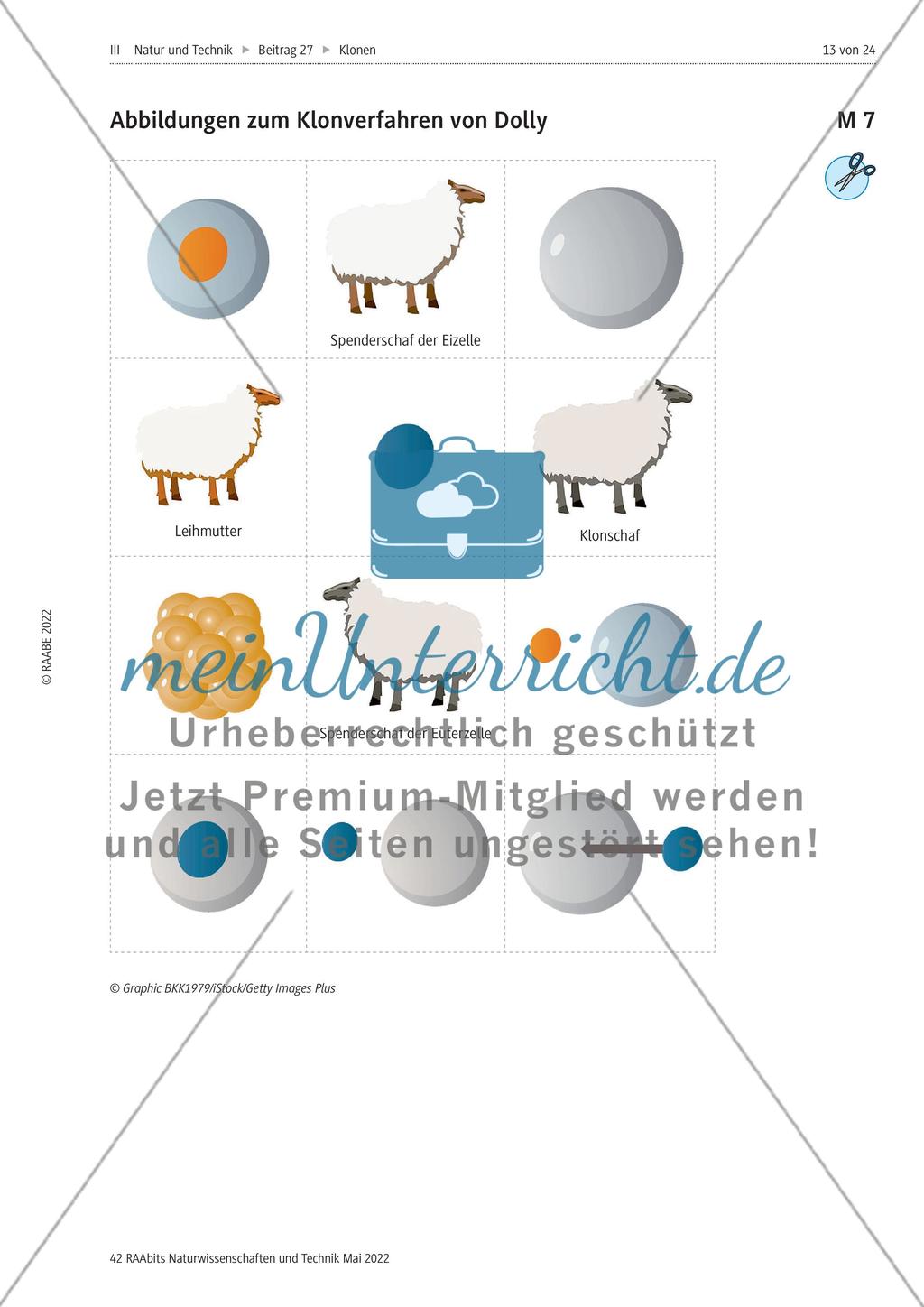 Klonverfahren in der Biotechnologie - M1-M9 Preview 7