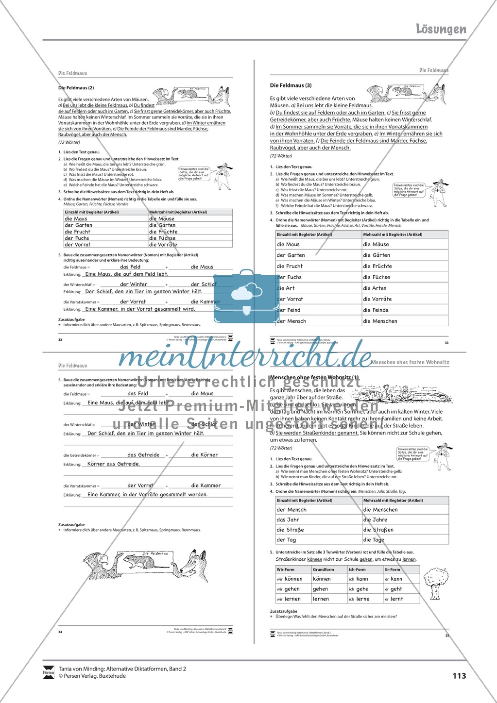Alternative Diktatformen: "Rechtschreibearbeit - Obdachlose - Differenzierungsstufe 2" - Lesetext + Aufgaben + Lösungen Preview 4