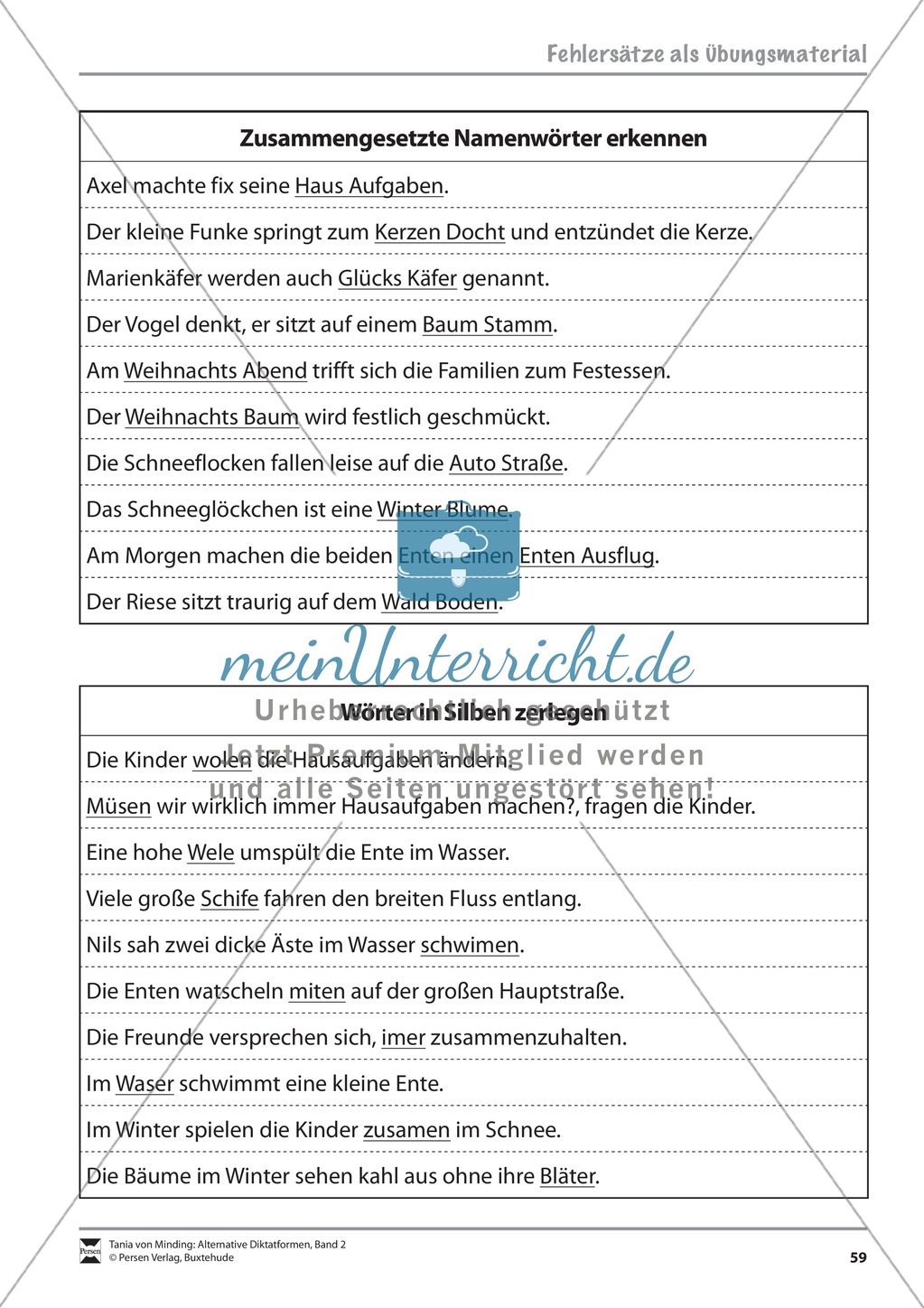 Alternative Diktatformen: "Das kommentierte Diktat - Rechtschreiberegeln verbalisieren" - Strategiekarten + Fehlersätze + Fehleranalyse Preview 11