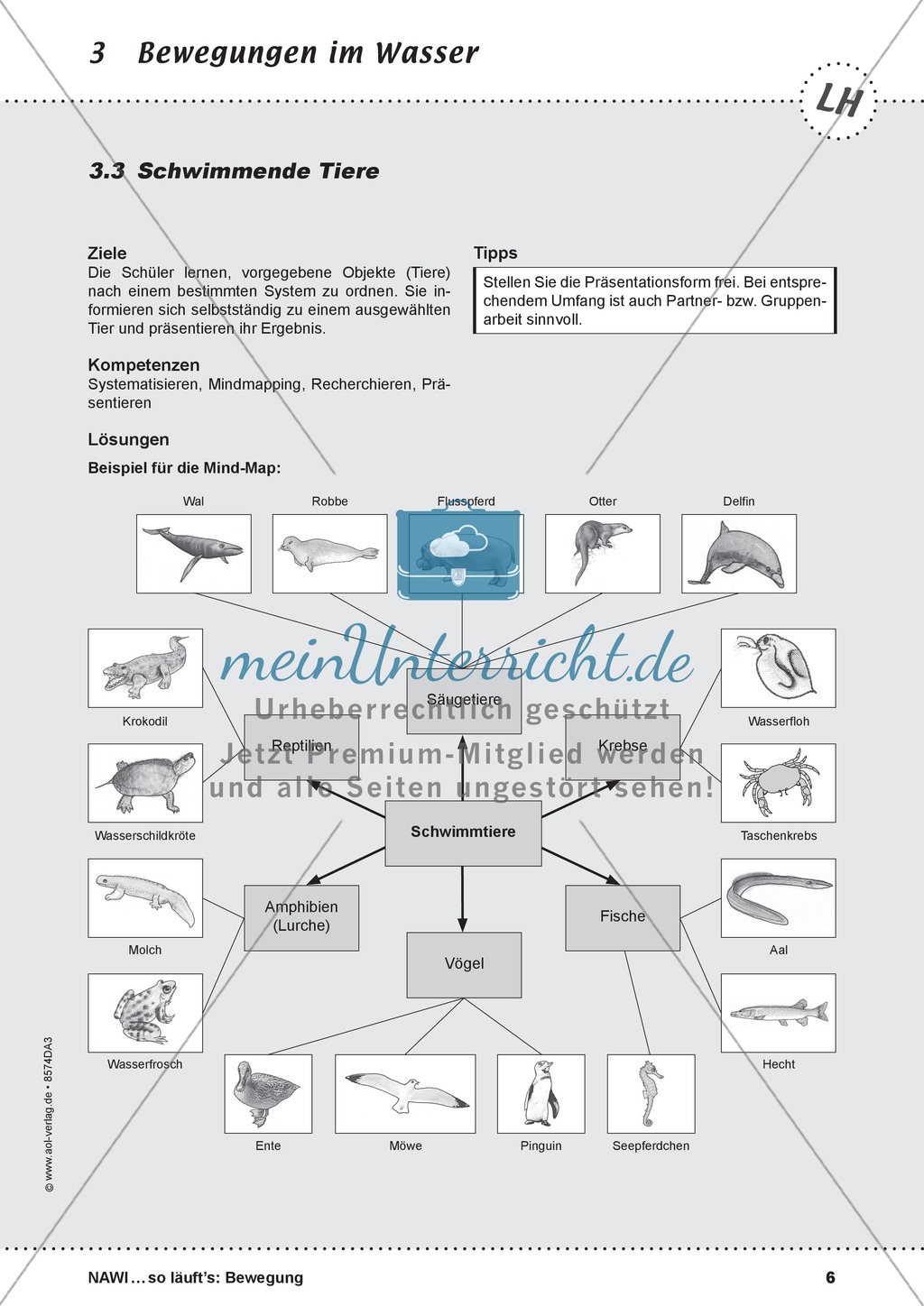 Bewegung im Wasser - Tauchen, Schwimmen, Fluten: didaktische Konzeption, Lehrerübersicht, Schülermaterial, Test Preview 6