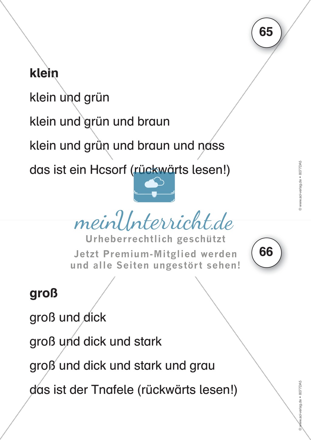 Der Lese-Trainer - Stufe 5 (Rätsel und Fragen): Arbeitsblätter + Urkunde Preview 1