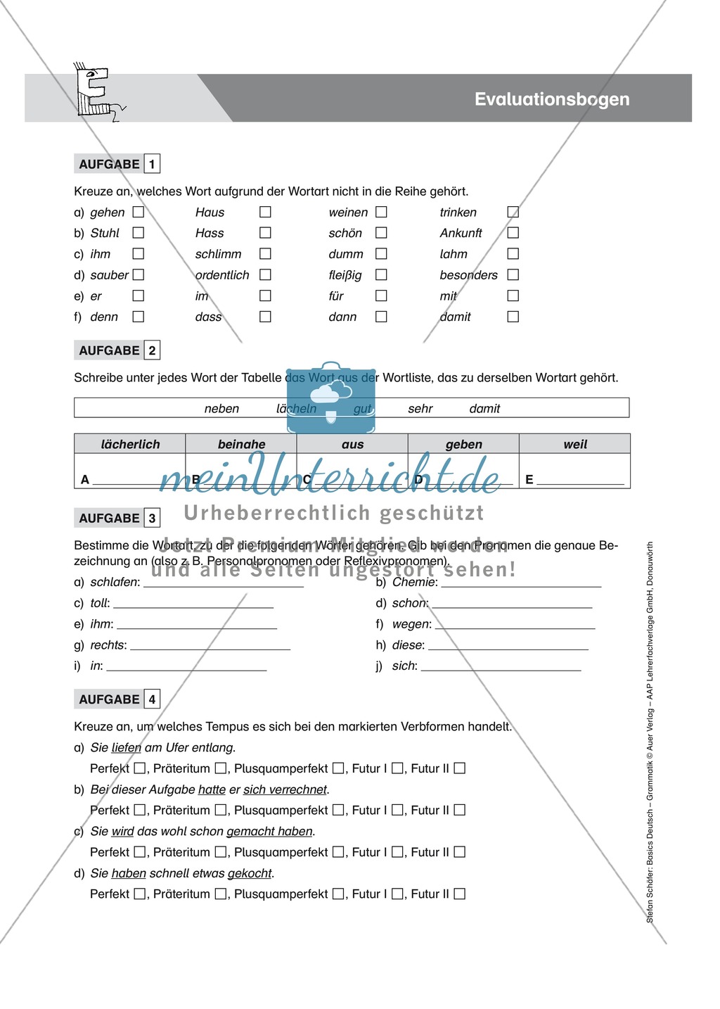Basics Grammatik: Evaluationsbogen mit Aufgaben + Lösungen Preview 1