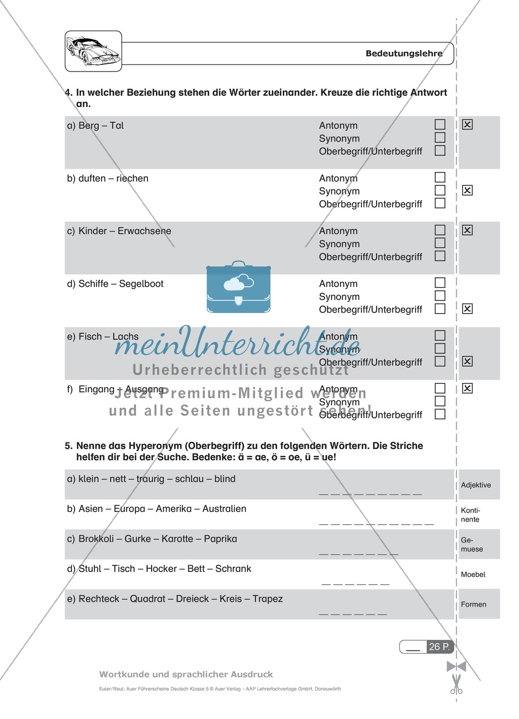 Wortbedeutung: Beziehung untereinander, Oberbegriffe: Schnell-Tests Preview 4