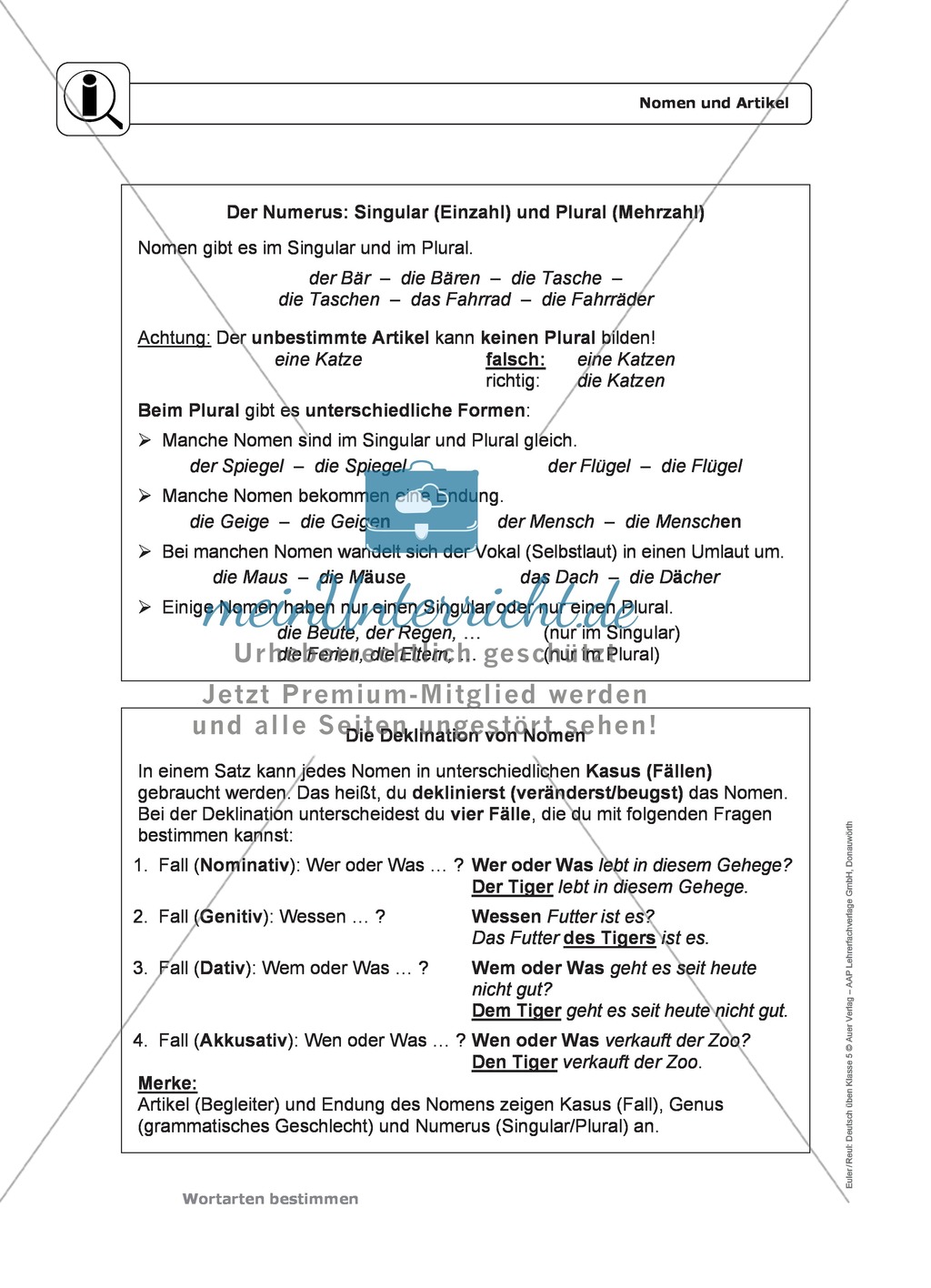 Wortarten: Nomen und Artikel: Regeln, Arbeitsblätter und Lösungen Preview 2