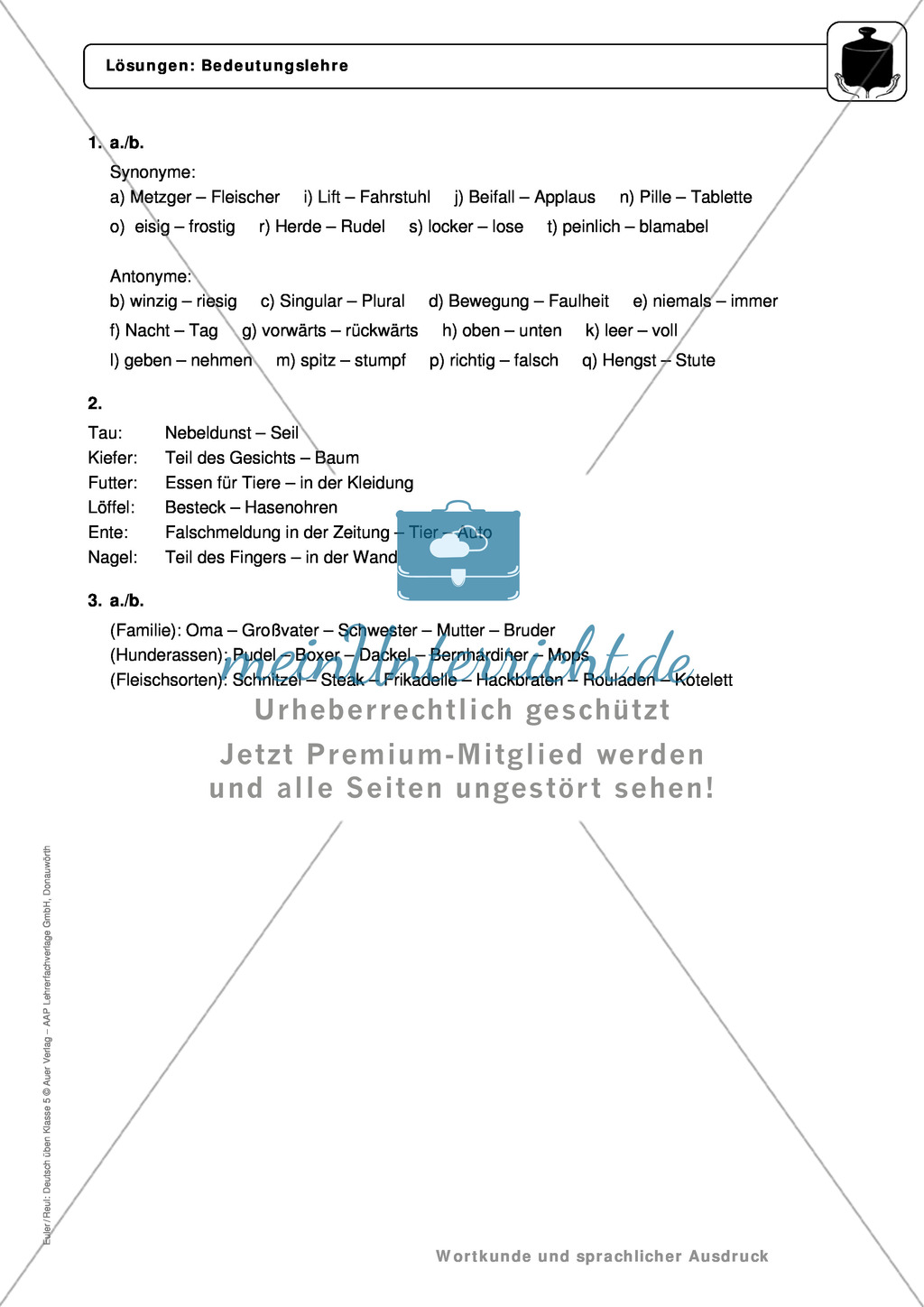 Wortkunde: Bedeutungslehre: Regeln, Arbeitsblätter und Lösungen Preview 5
