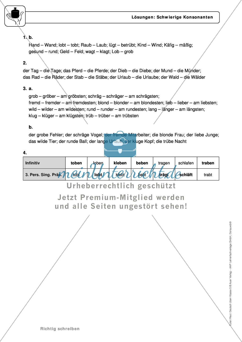 Rechtschreibung: schwierige Konsonanten: Regeln, Arbeitsblätter und Lösungen Preview 4