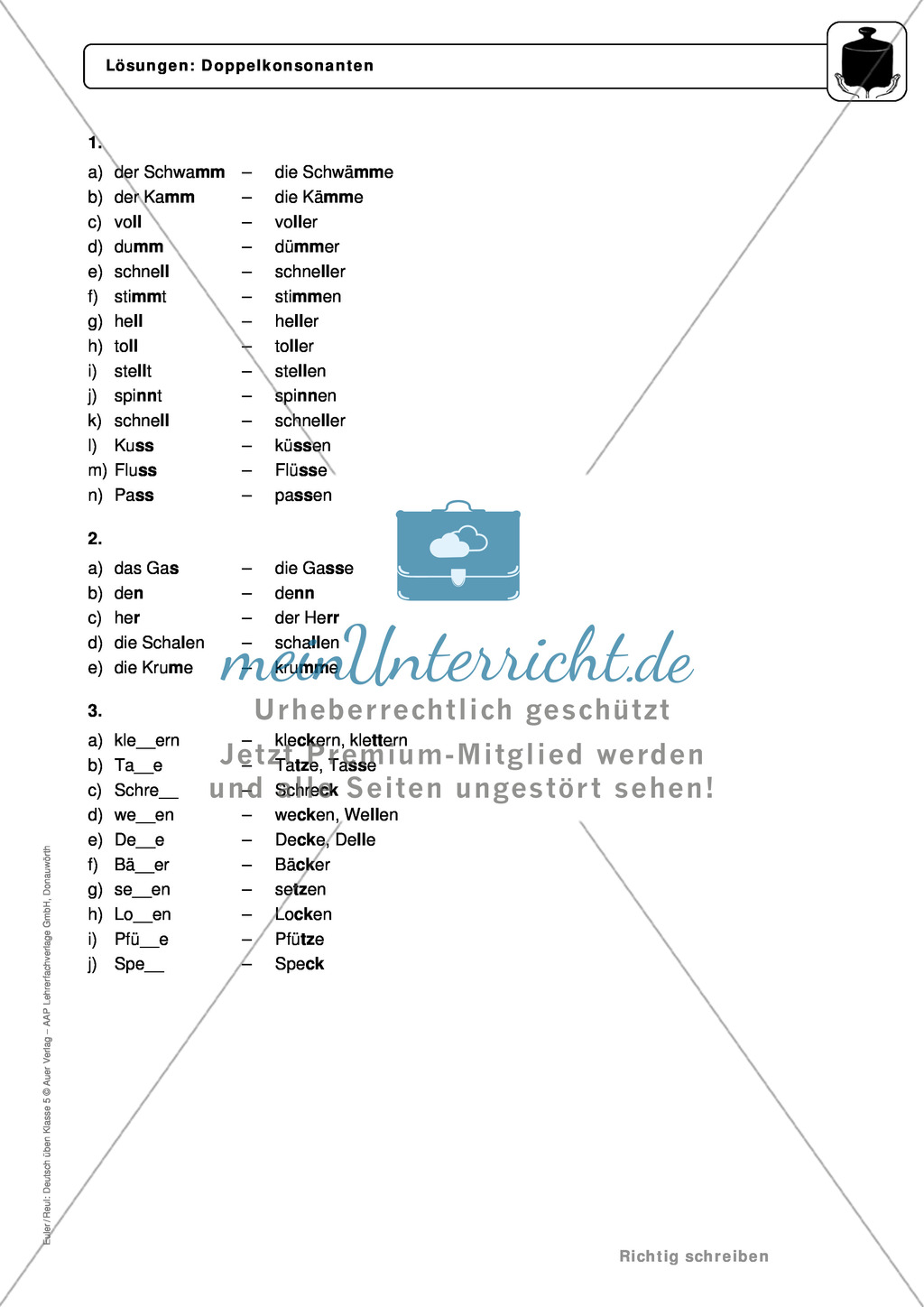 Rechtschreibung: Doppelkonsonanten: Regeln, Arbeitsblätter und Lösungen Preview 5
