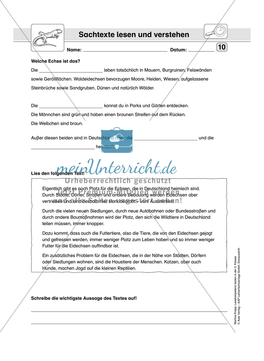 Lesekompetenz testen: Sachtext: Wichtige Hinweise für die Lehrer, Übungen und Lösungen Preview 12