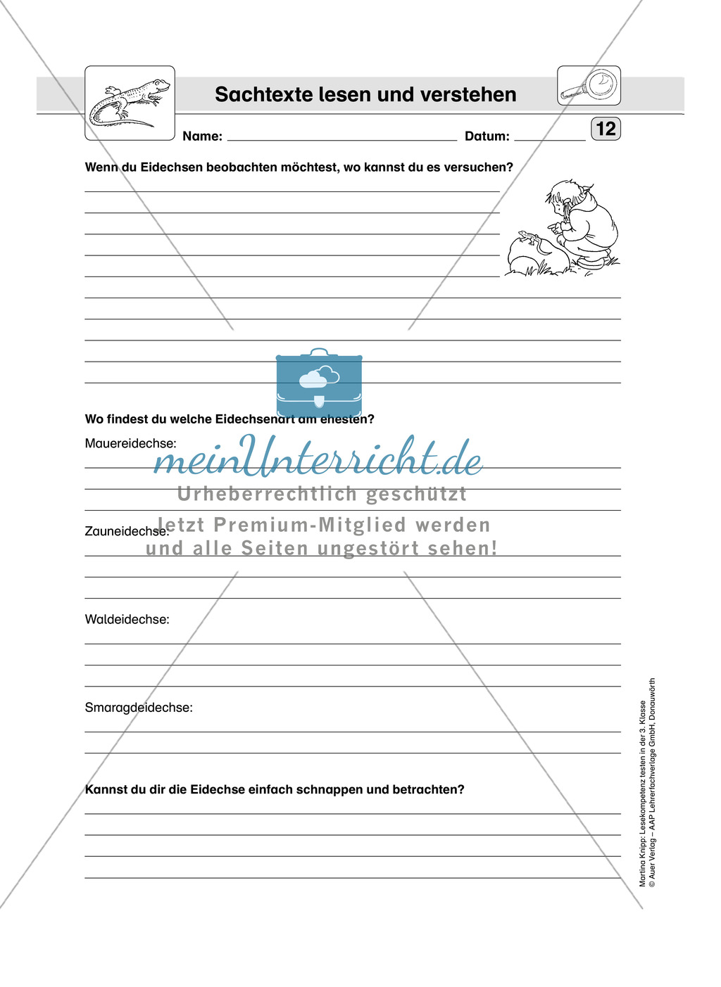 Lesekompetenz testen: Sachtext: Wichtige Hinweise für die Lehrer, Übungen und Lösungen Preview 14