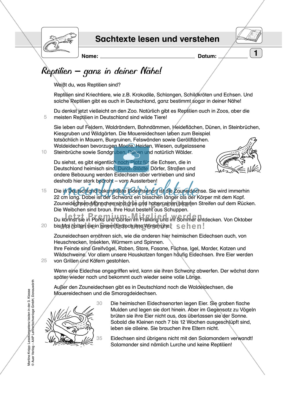 Lesekompetenz testen: Sachtext: Wichtige Hinweise für die Lehrer, Übungen und Lösungen Preview 3