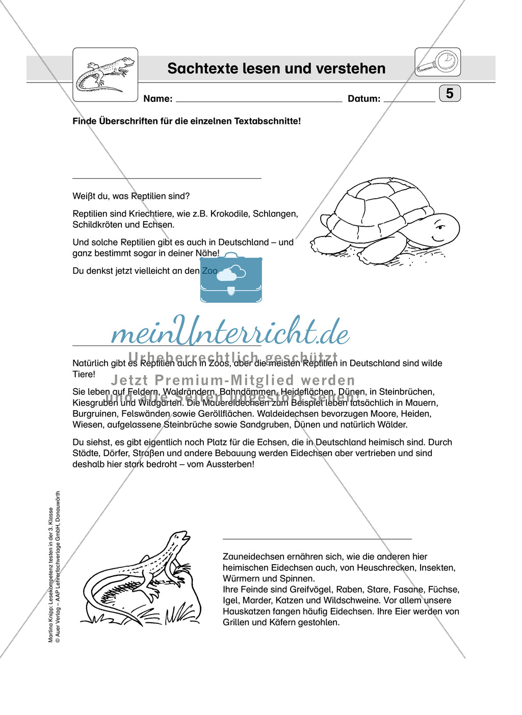 Lesekompetenz testen: Sachtext: Wichtige Hinweise für die Lehrer, Übungen und Lösungen Preview 7