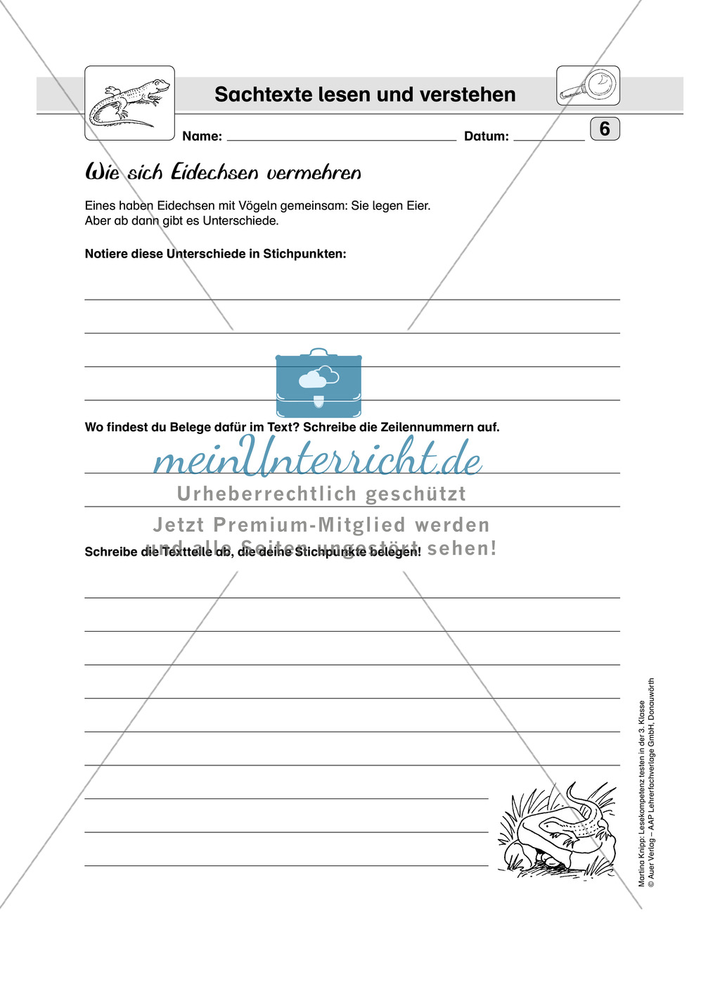 Lesekompetenz testen: Sachtext: Wichtige Hinweise für die Lehrer, Übungen und Lösungen Preview 8