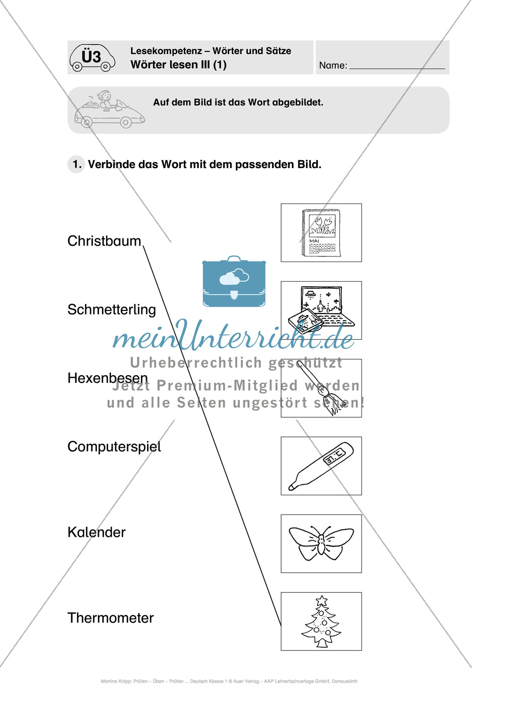 Lesekompetenz - Wörter und Sätze: Vorwort, Führerschein, Übungen und Tests Preview 13