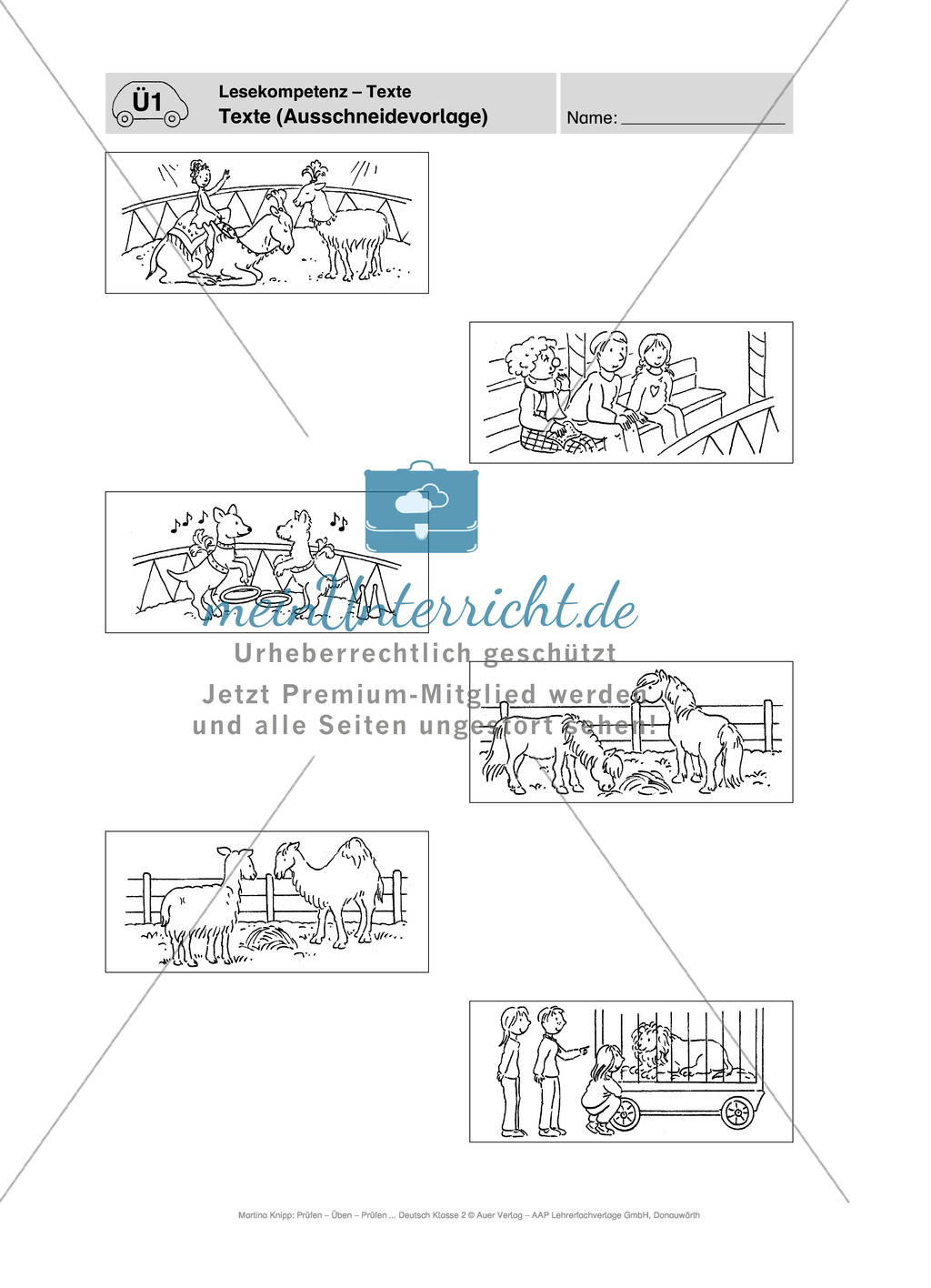 Lesekompetenz, Texte: Führerschein-Übungsaufgaben und Lösung Preview 4