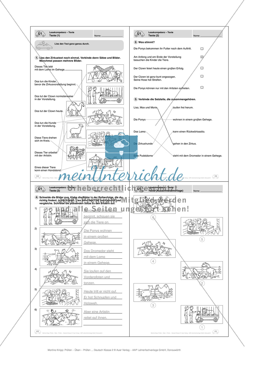 Lesekompetenz, Texte: Führerschein-Übungsaufgaben und Lösung Preview 5