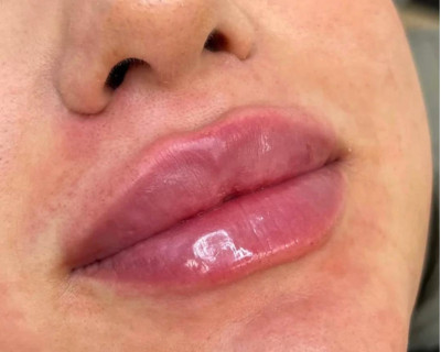 Faceland - Michelle Alders