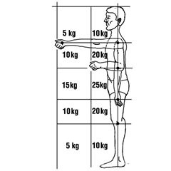 Minilift, NEWTON 100, Tragfähigkeit 100 kg, Höhe 2381 mm.
