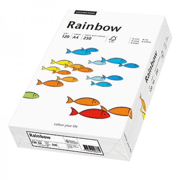 Rainbow Kopierpapier 88042205 A4 120g weiß 250 Bl./Pack.