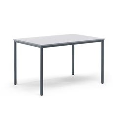 Mehrzwecktisch, HxBxT 720 x 1200 x 800 mm, Platte lichtgrau, Gestell basaltgrau.
