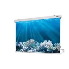 Projektionsleinwand CINEROLL CRANK, Format 1:1, HxB 1800 x 1800 mm.