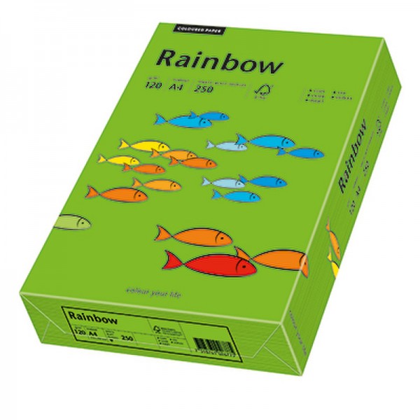 Rainbow Kopierpapier 88042678 A4 120g intensivgrün 250 Bl./Pack.