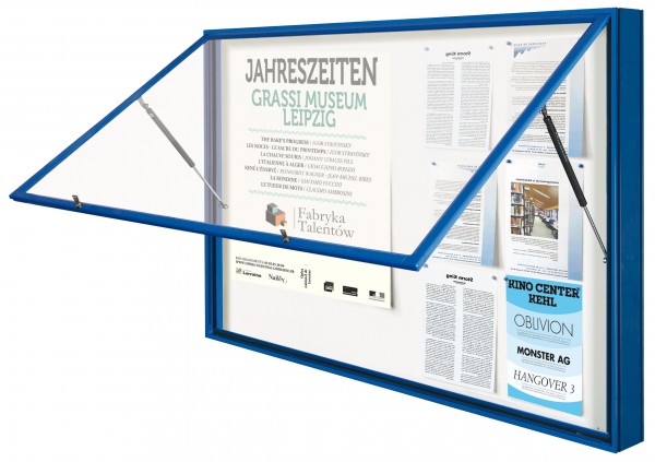 Schaukasten "1000" - Bautiefe 75 mm - Beschichtet (RAL)