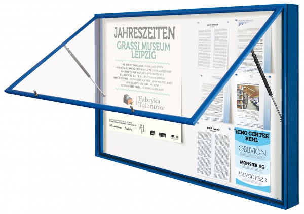 Schaukasten &quot;1000&quot; - Bautiefe 75 mm - Beschichtet (RAL)