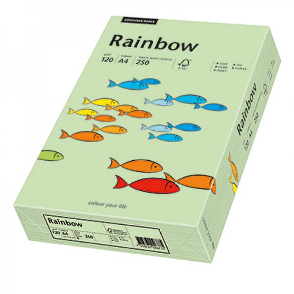 Rainbow Kopierpapier 88042634 A4 120g mittelgrün 250 Bl./Pack.
