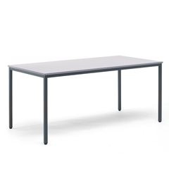 Mehrzwecktisch, HxBxT 720 x 1600 x 800 mm, Platte lichtgrau, Gestell basaltgrau.
