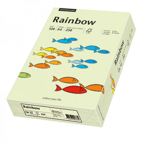 Rainbow Kopierpapier 88042590 A4 120g hellgrün 250 Bl./Pack.