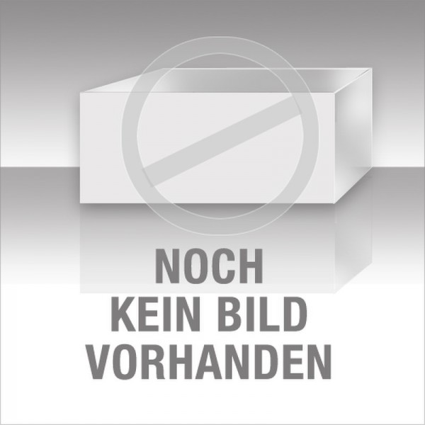 Epson Tinte C13T29814012 29 Schwarz 175 Seiten