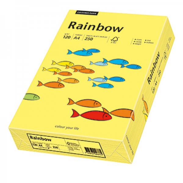 RAINBOW Kopierpapier A4 120g intensivorange 250 Bl./Pack. RAINBOW Kopierpapier A4 120g intensivorange 250 Bl./Pack.