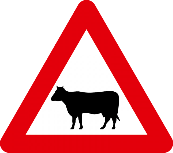 §50/13a Achtung Tiere flach Scotchlite Typ1 | Flach