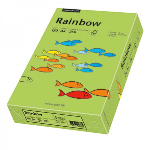 Rainbow Kopierpapier 88042656 A4 120g grün 250 Bl./Pack.