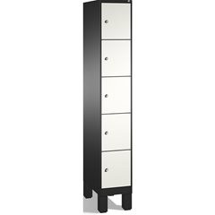 EVOLO Fächerschrank, mit Füßen, 1 Abteil, 5 Fächer, Abteilbreite 300 mm, schwarz