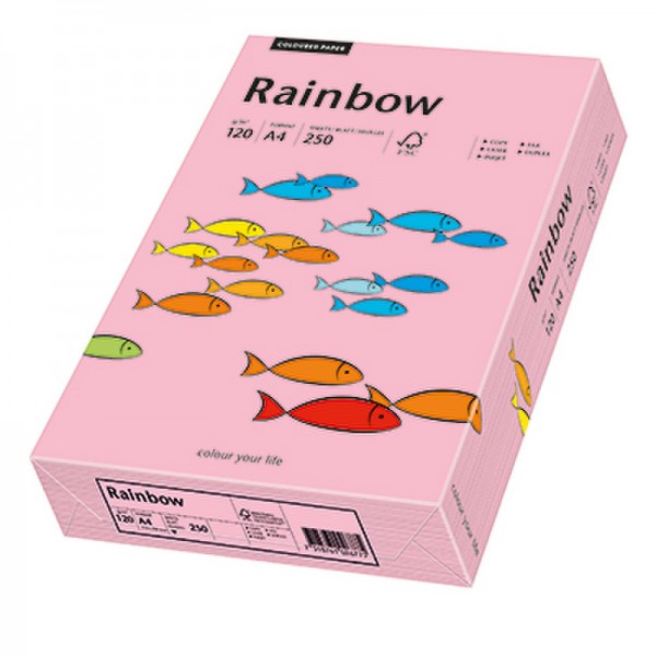 Rainbow Kopierpapier 88042546 A4 120g rosa 250 Bl./Pack.