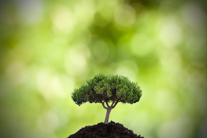 Environnement