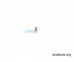 South West Dog Skills