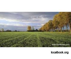 Are you looking to buy land in Goa for sale?