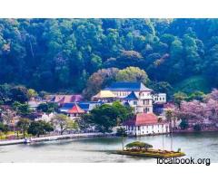 Sri Lanka Holiday Packages: Exotic Wildlife and Ancient Wonders