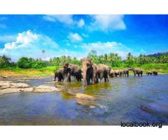 Sri Lanka Holiday Packages: Exotic Wildlife and Ancient Wonders - 3
