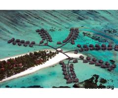 Maldives Holiday Packages: Crystal Clear Waters and Island Serenity - 2
