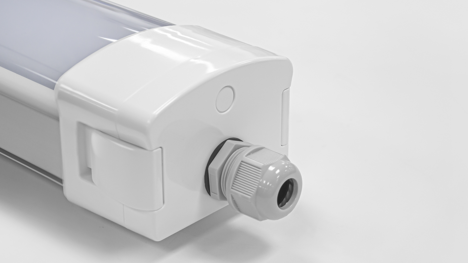 Afbeeldingen Aquila 04