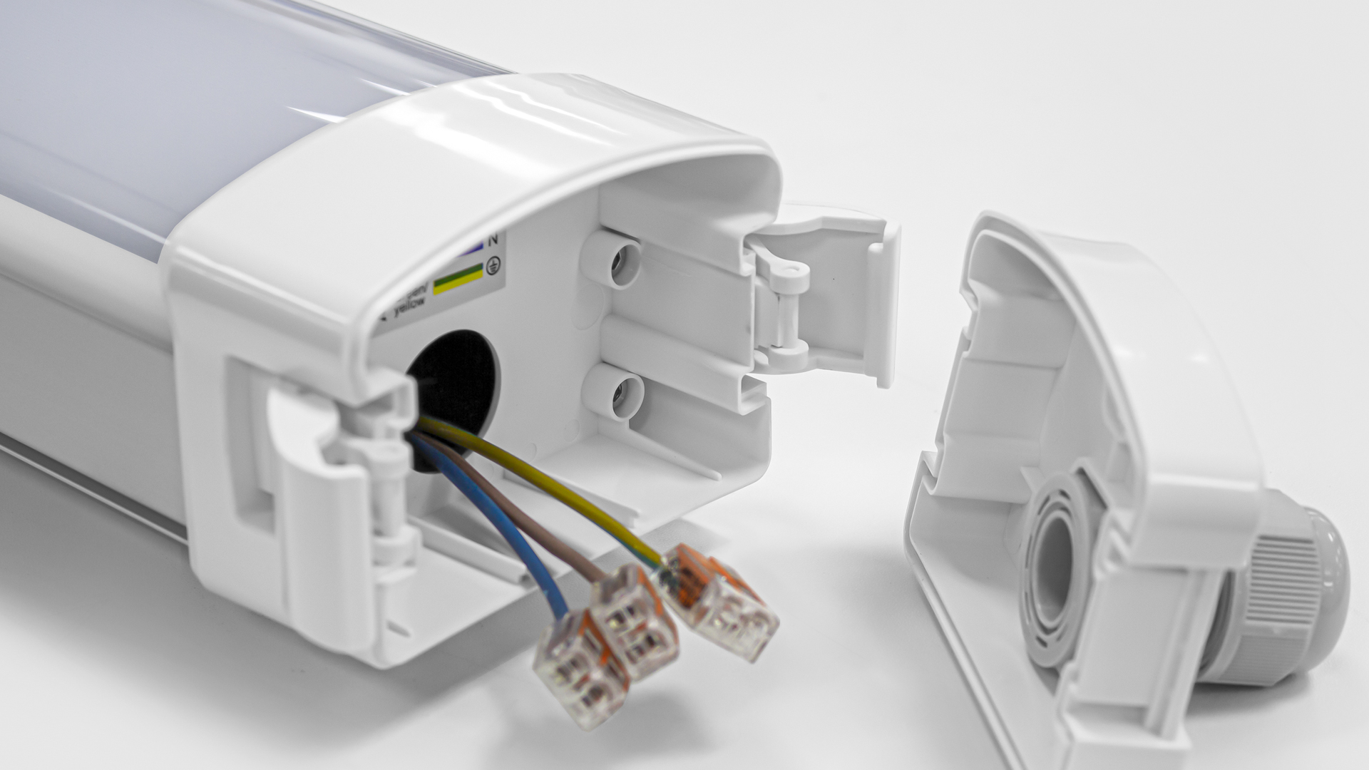 Afbeeldingen Aquila 05