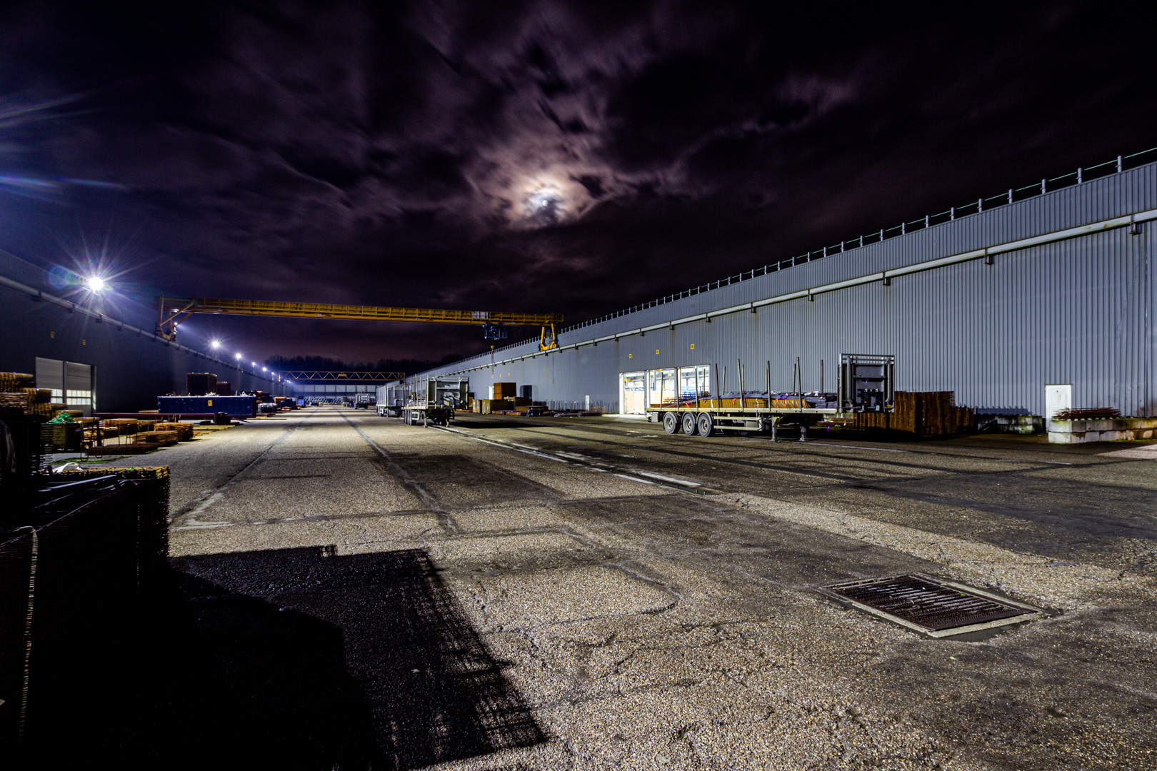 Phoenix Libra Cygnus Holterman Markelo 5